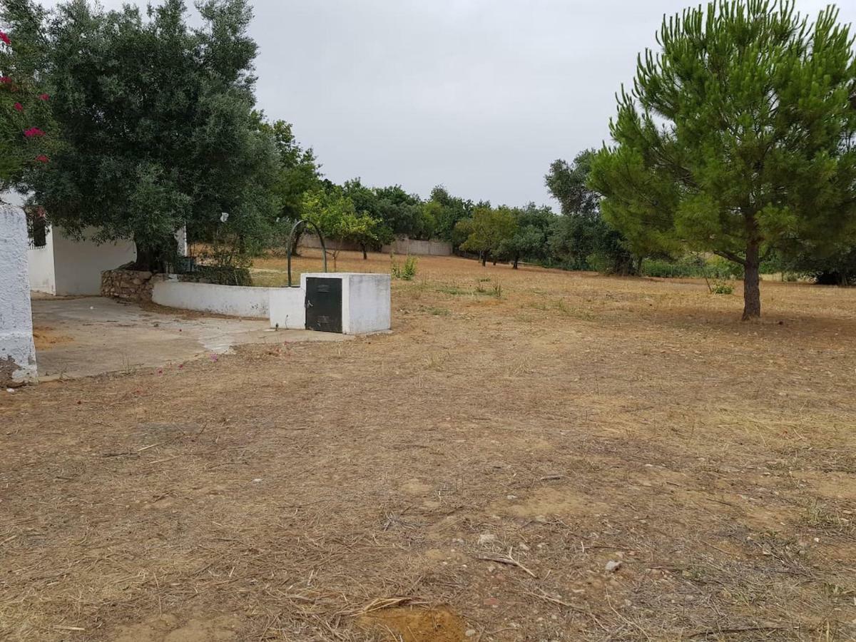 Casa Rustica No Monte Das Oliveiras, Sta Margarida, Tavira Kültér fotó