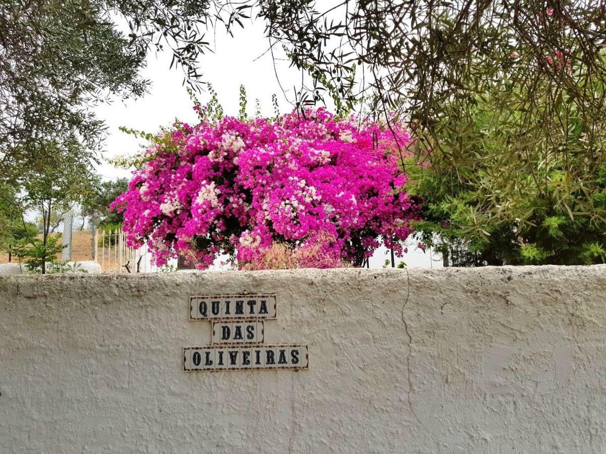 Casa Rustica No Monte Das Oliveiras, Sta Margarida, Tavira Kültér fotó